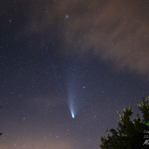Comet Neowise - Martin Howe